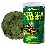     
: tropical green algae wafers.jpg
: 364
:	16.6 
ID:	621270