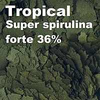     
: Tropical Super spirulina forte 36%.jpg
: 344
:	125.1 
ID:	655511