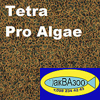     
: Tetra Pro Algae.jpg
: 1690
:	358.2 
ID:	655527