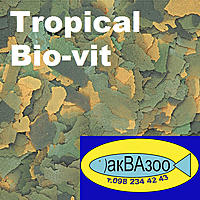     
: Tropical Bio-vit.jpg
: 1579
:	269.9 
ID:	655537