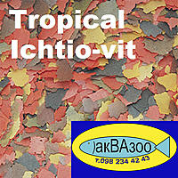     
: Tropical Ichtio-vit.jpg
: 1574
:	259.5 
ID:	655539