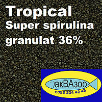     
: Tropical Super spirulina granulat 36%.jpg
: 1543
:	288.6 
ID:	655542