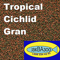     
: Tropical Cichlid Gran+.jpg
: 1319
:	348.0 
ID:	665591