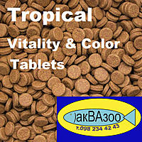     
: Tropical Vitality & Color Tablets.jpg
: 1205
:	267.4 
ID:	670463