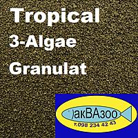     
: Tropical 3-Algae Granulat.jpg
: 419
:	185.2 
ID:	680787