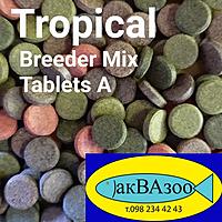     
: Tropical Breeder Mix.jpg
: 118
:	109.5 
ID:	680789
