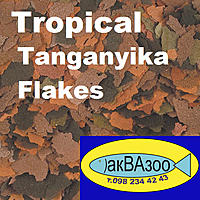     
: Tropical Tanganyika Flakes.jpg
: 288
:	303.7 
ID:	682509