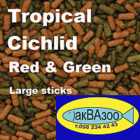     
: Tropical Cichlid Red Green Large Sticks.jpg
: 218
:	242.3 
ID:	686163