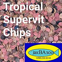     
: Tropical Supervit Chips.jpg
: 109
:	261.3 
ID:	692009